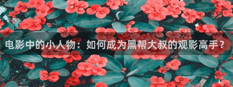 新闻图片