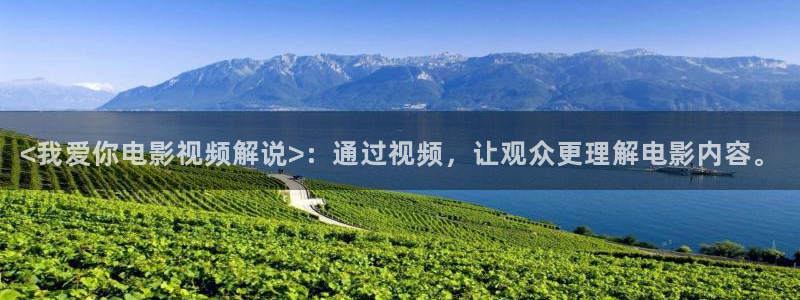 新视觉培训