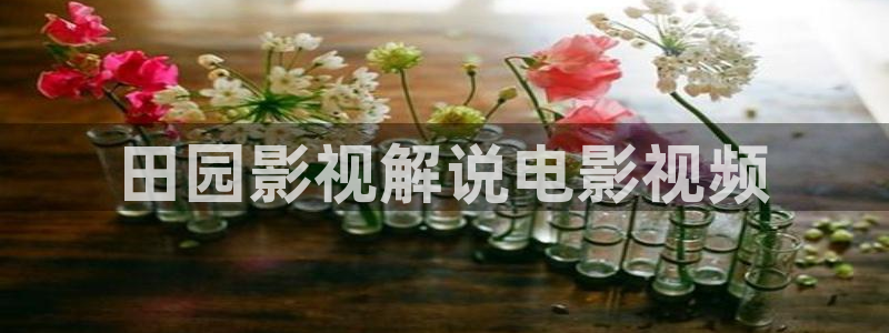 新视觉6080 三级