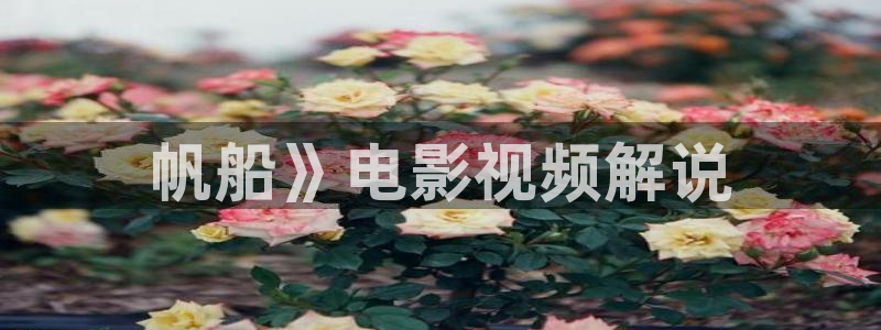 6080新视觉在线播放