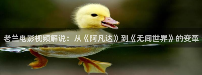 河南新视觉网络科技有限公司