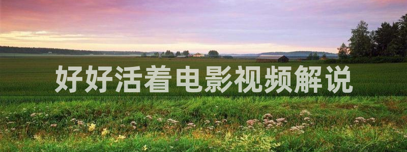 新视觉yy4080