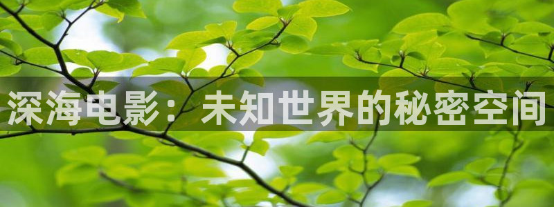 新视觉影院手机在线