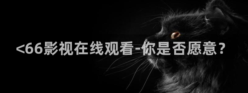 新视觉6860