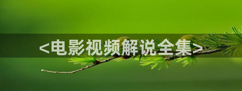 新视觉网页版