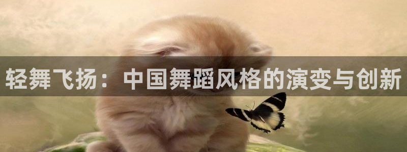 新视觉直播