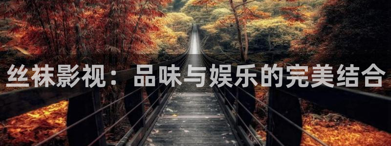 新视觉电视剧网站