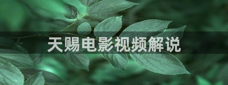 新视觉影院电视剧免费大全