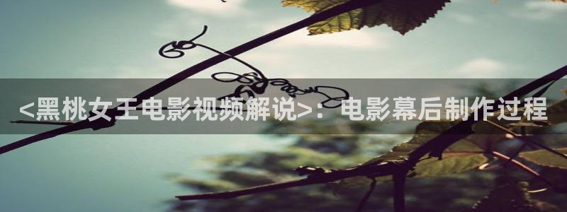 yy4060新视觉影院电影