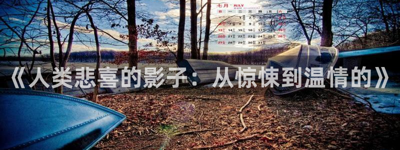 6080新视觉摄影