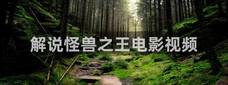 高清新视觉频道