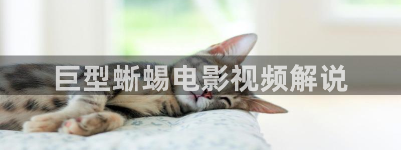 4080新视觉电影理论电视剧