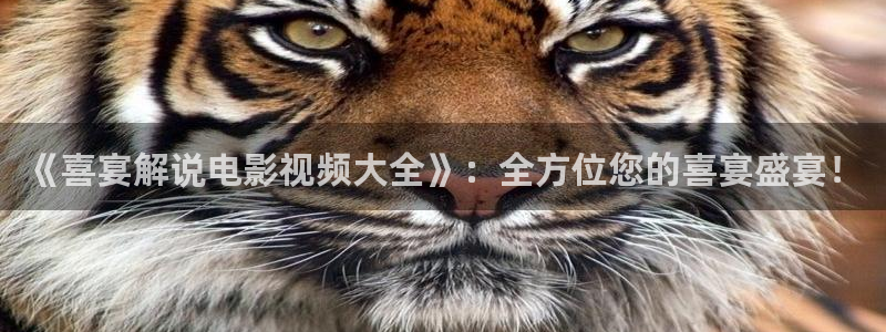 新视觉午夜理论
