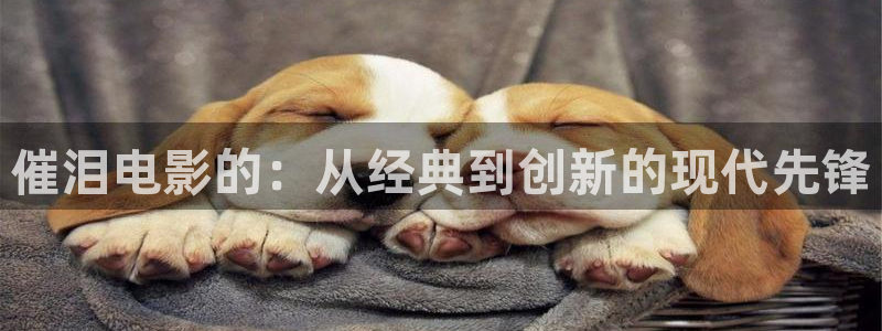 新视觉电影观看免费完整版