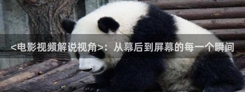 yy8090新视觉电视剧最新消息